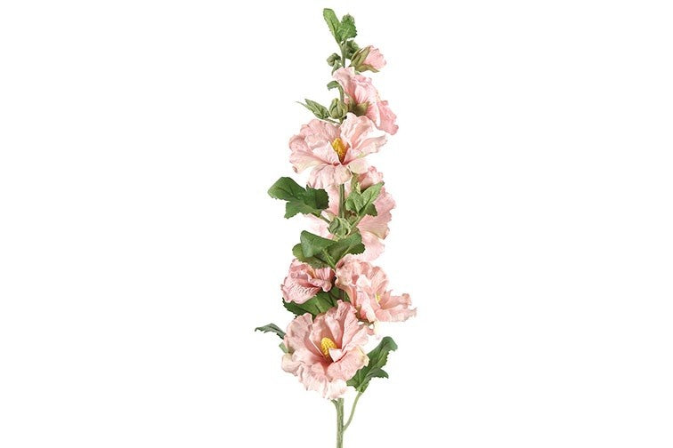 Althaea Roos Rosa Kathi roze-8x8x87,6CM