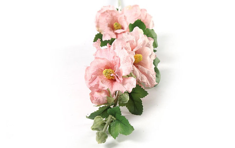 Althaea Roos Rosa Kathi roze-8x8x87,6CM