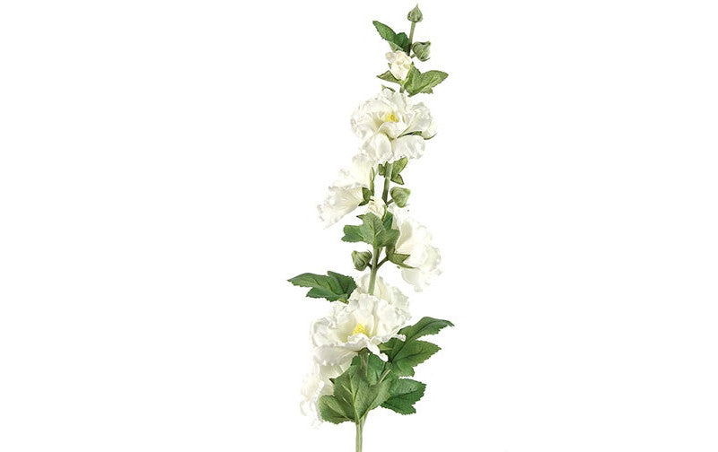 Althaea Roos Rosa Kathi wit-8x8x87,6CM