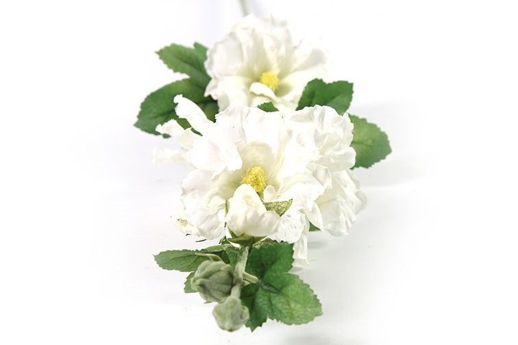 Althaea Roos Rosa Kathi wit-8x8x87,6CM