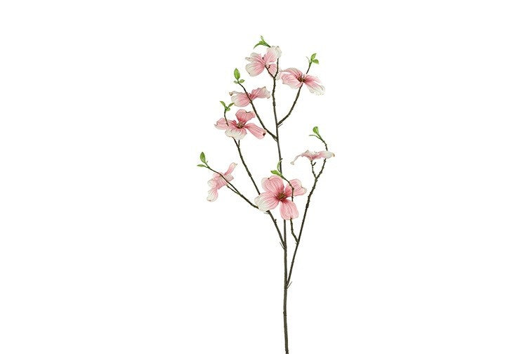 Cornus Roze- 5x20x75CM
