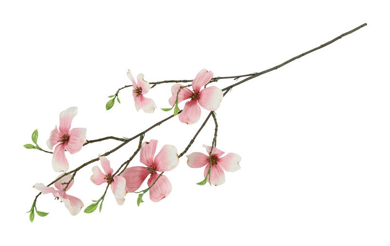 Cornus Roze- 5x20x75CM