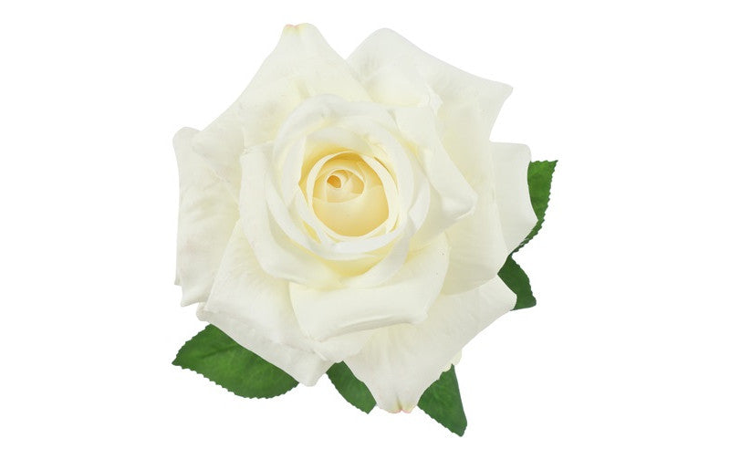 Roos Rosa Florentina wit-8x8x72CM