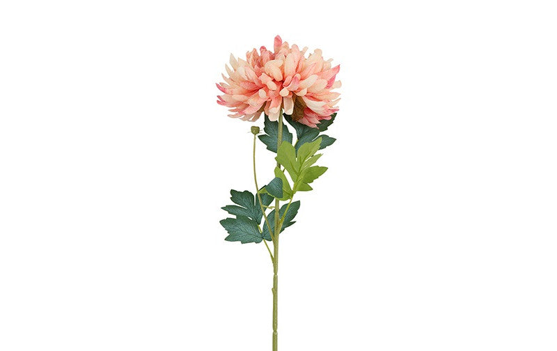 ChrysantKiku roze-10x10x66CM
