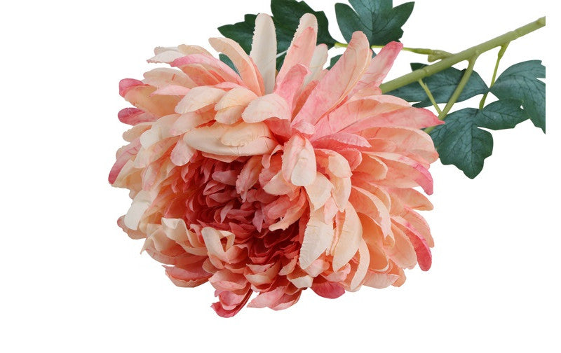 ChrysantKiku roze-10x10x66CM
