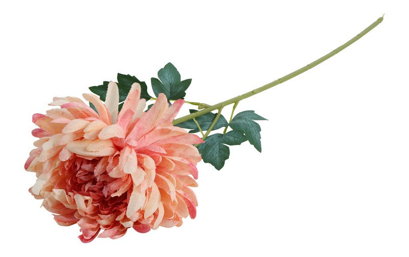 ChrysantKiku roze-10x10x66CM