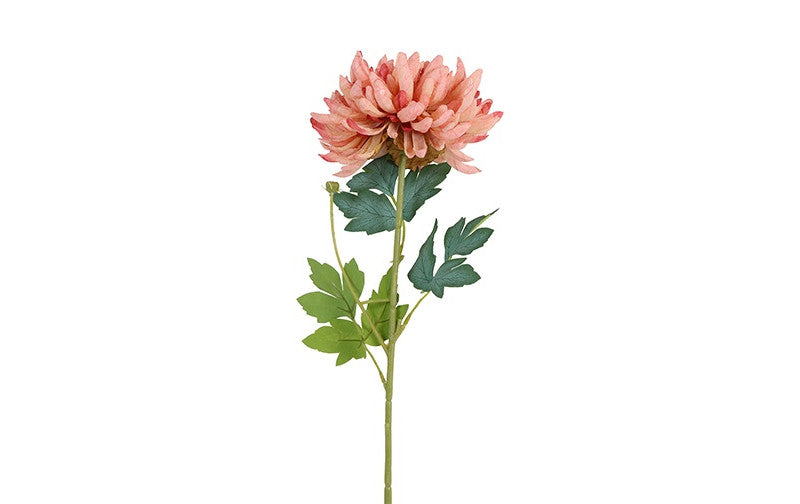 Chrysant Kiku d.roze-10x10x66CM