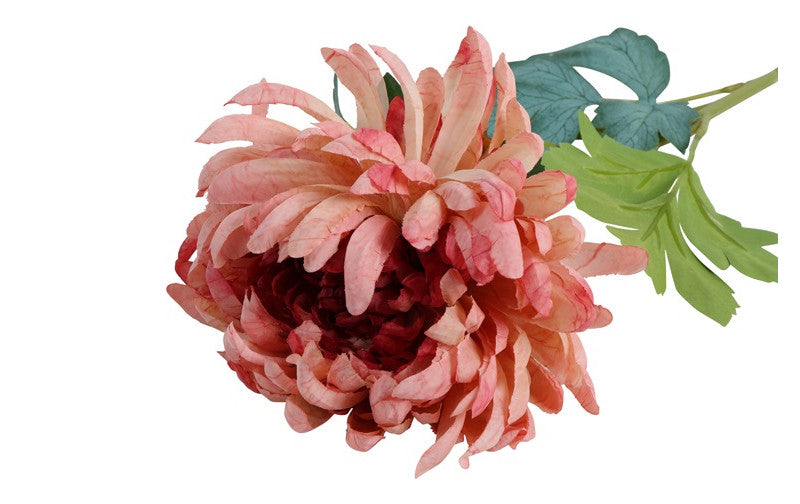 Chrysant Kiku d.roze-10x10x66CM