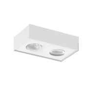 ArtDelight Brooklyn – LED plafondspot 2-lichts Dim-to-Warm – Kies kleur Wit