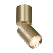 Parma opbouwspot Mat goud