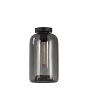 Botany plafondlamp Grijs