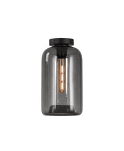 Botany plafondlamp Grijs