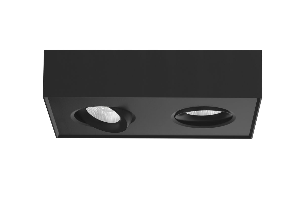 ArtDelight Brooklyn – LED plafondspot 2-lichts Dim-to-Warm – Kies kleur Zwart