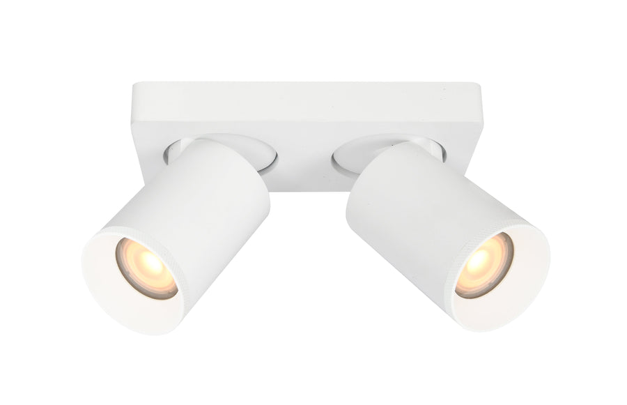 Artdelight Mega - Opbouwspot/Plafondspot - Dimbaar - IP54 Binnen/Badkamer - 2-lichts - GU10 - Modern – Kies kleur