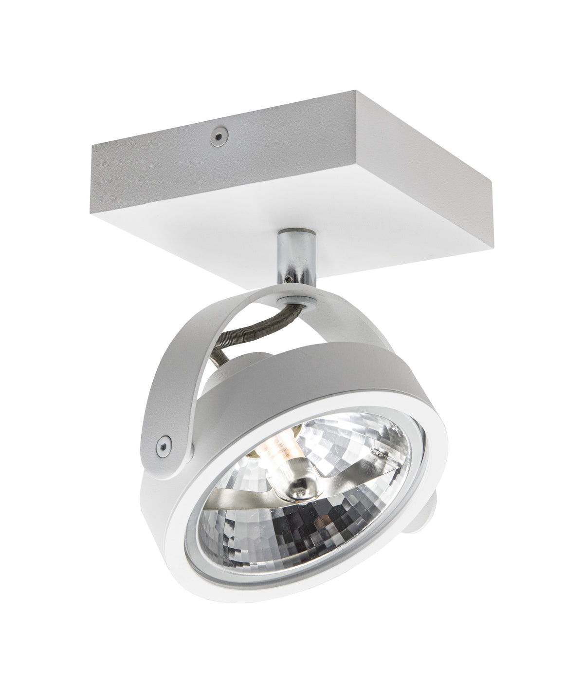 Artdelight Wajer - Opbouwspot/Plafondspot - Dimbaar - 1-lichts - G9 - Modern – Kies kleur