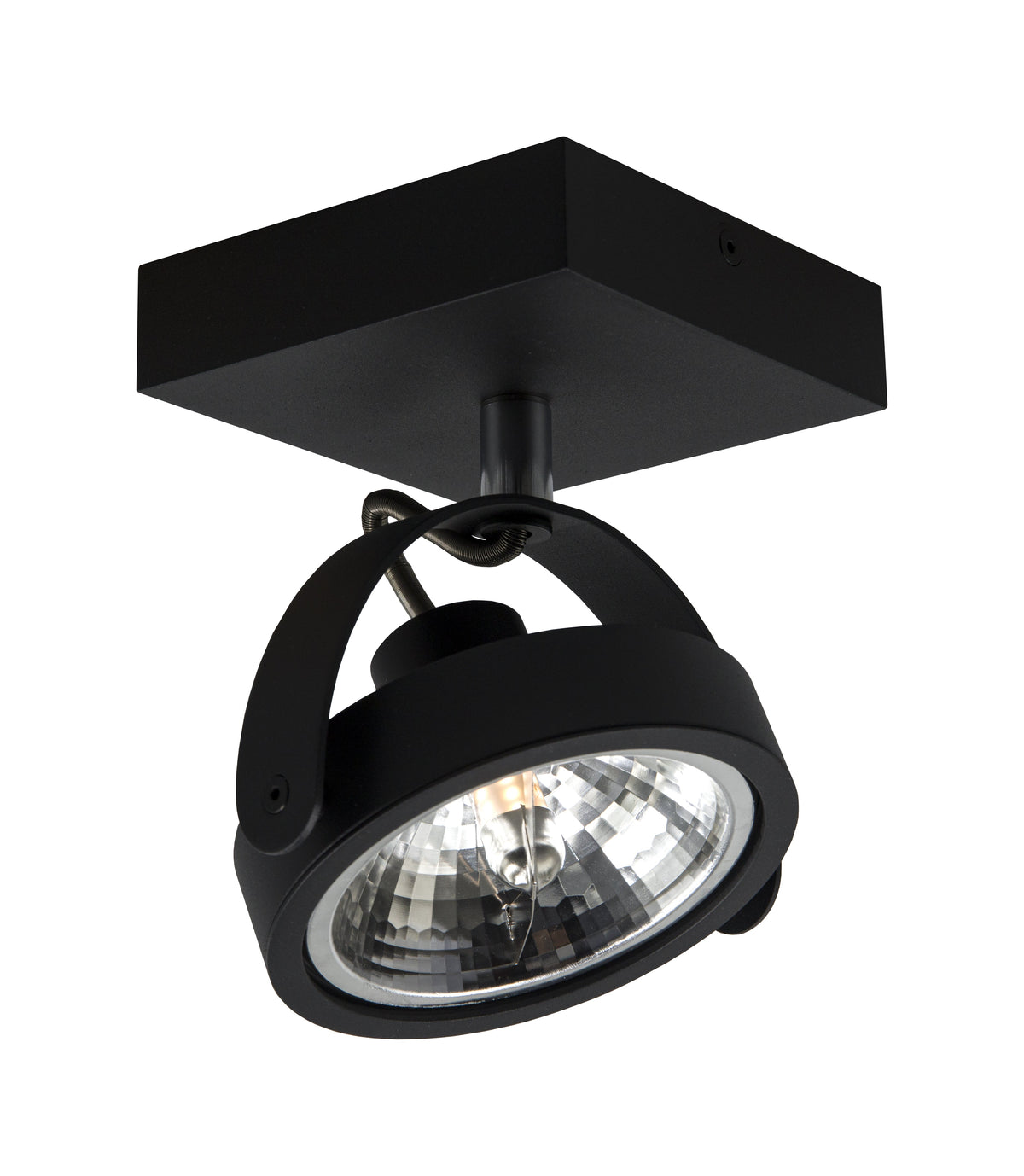 Artdelight Wajer - Opbouwspot/Plafondspot - Dimbaar - 1-lichts - G9 - Modern – Kies kleur