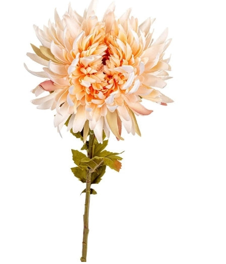 Chrysant, 62cm zalm