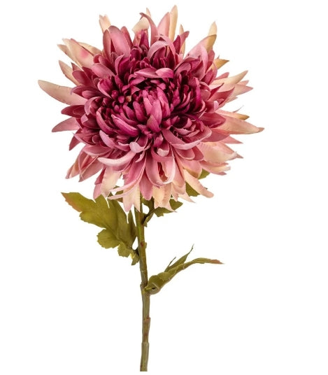 Chrysant, 62cm oud roze