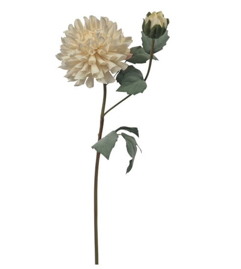 Dahlia Klein, off white 60 cm