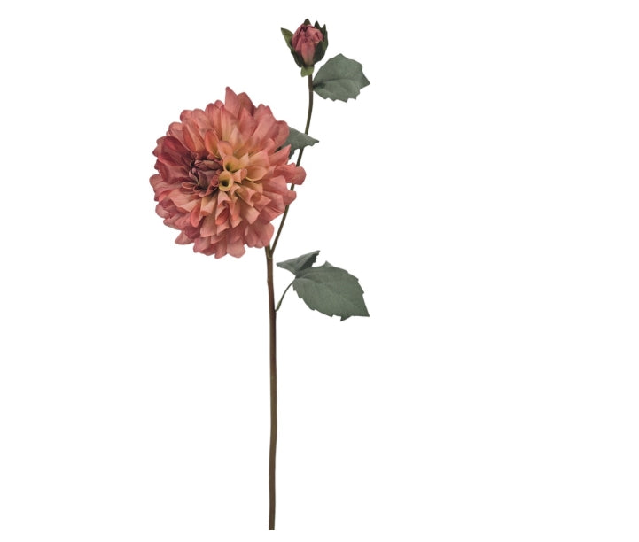 Dahlia Klein, Pink 60 cm