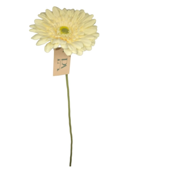 Gerbera, Off White, 63cm