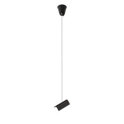 1F 2m ophangset zwart van Rendl Light Studio