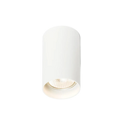 GAYA Plafondlamp - Zwart - Wit van Rendl Light Studio