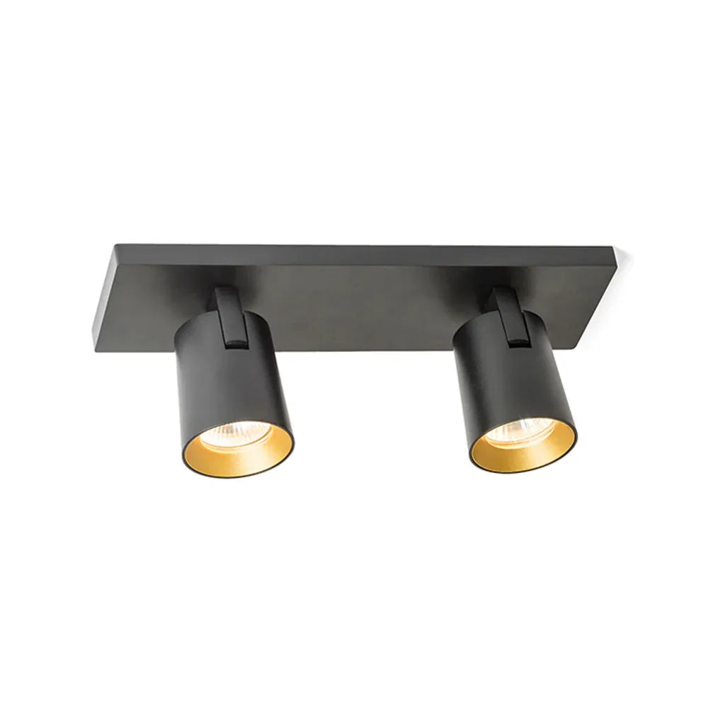Plafondlamp Kenny – Moderne 2-lichts Spot in Zwart met Goud
