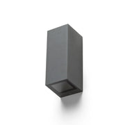 DESMOND II wandlamp antracietgrijs IP44 van Rendl Light Studio