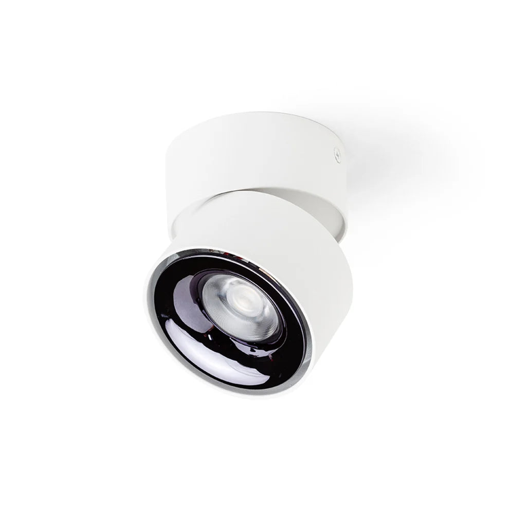 Plafondlamp ALBANO opbouwlamp wit zwart chroom van Rendl Light Studio