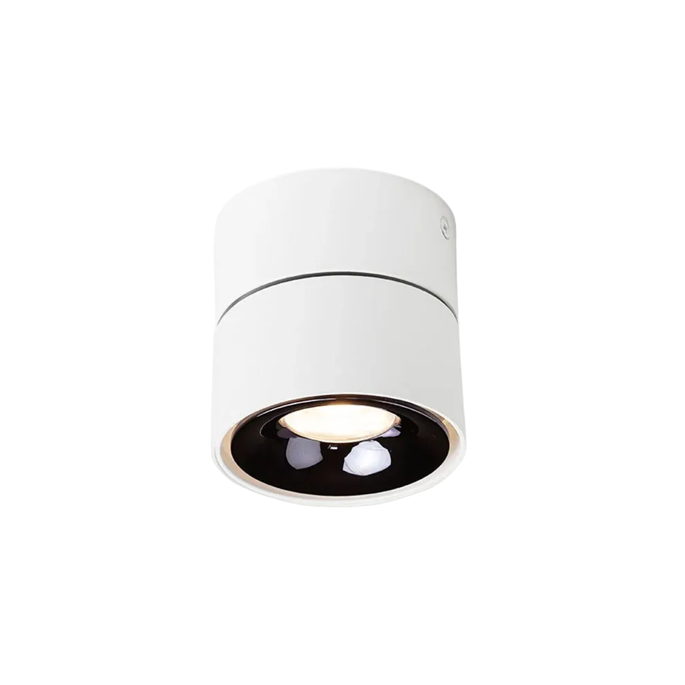 Plafondlamp ALBANO opbouwlamp wit zwart chroom