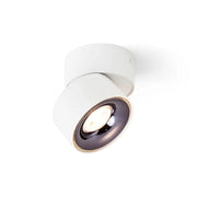 Plafondlamp ALBANO opbouwlamp wit zwart chroom van Rendl Light Studio